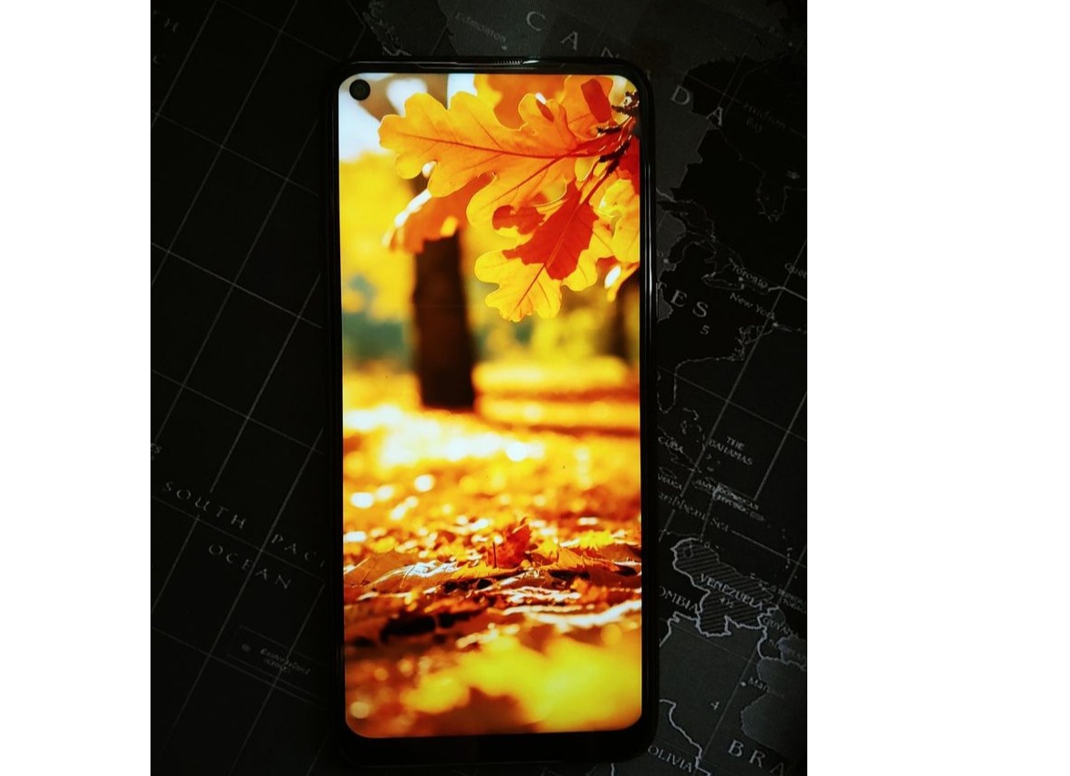 LG Q61