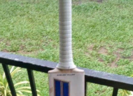 SF cricket bat