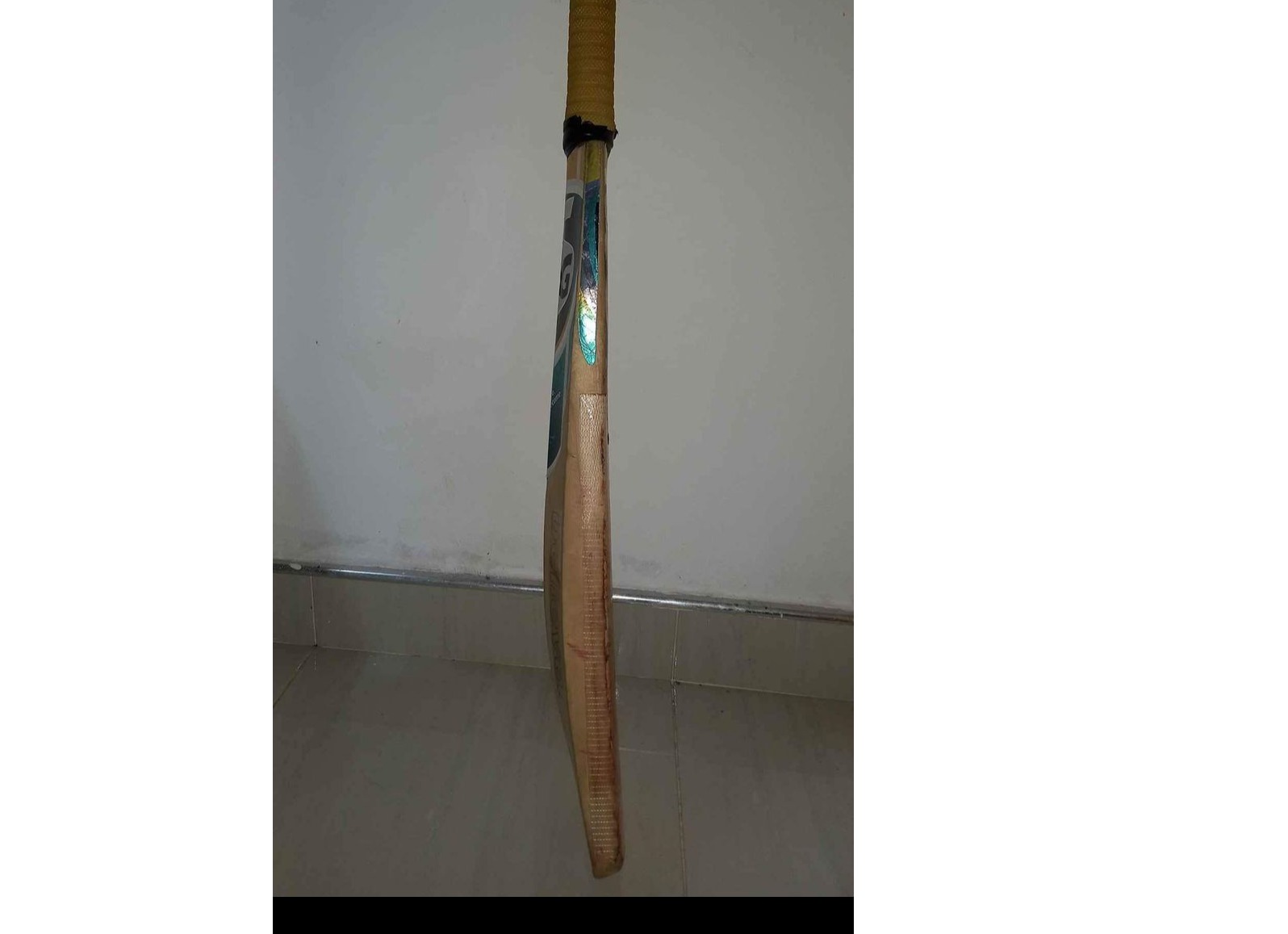 Cricket bat