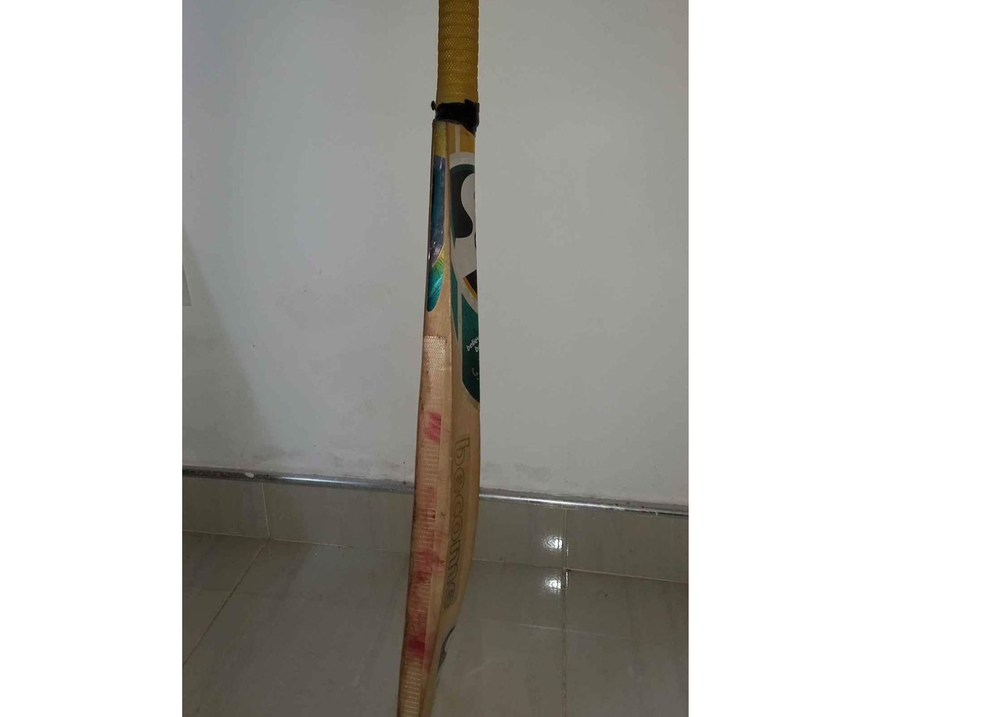 Cricket bat