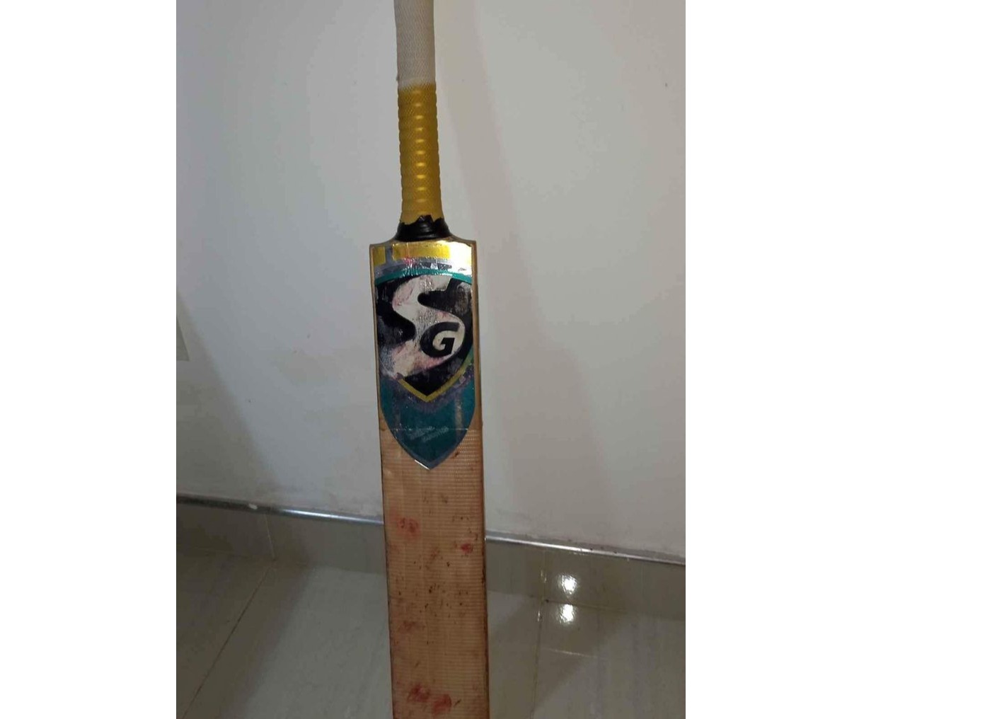 Cricket bat