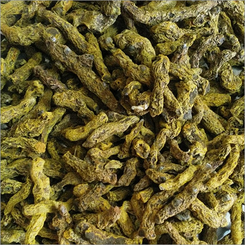 Dry Turmeric