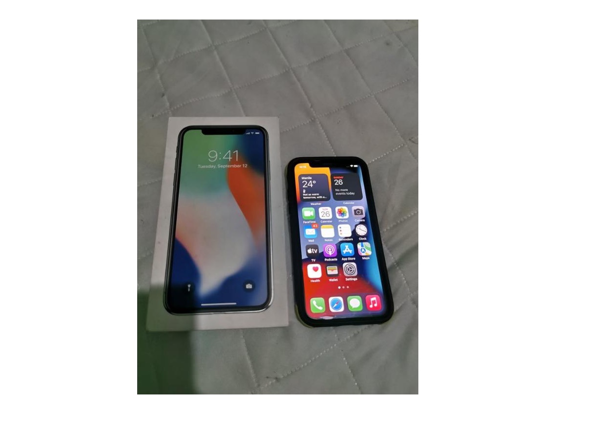 Apple iPhone X