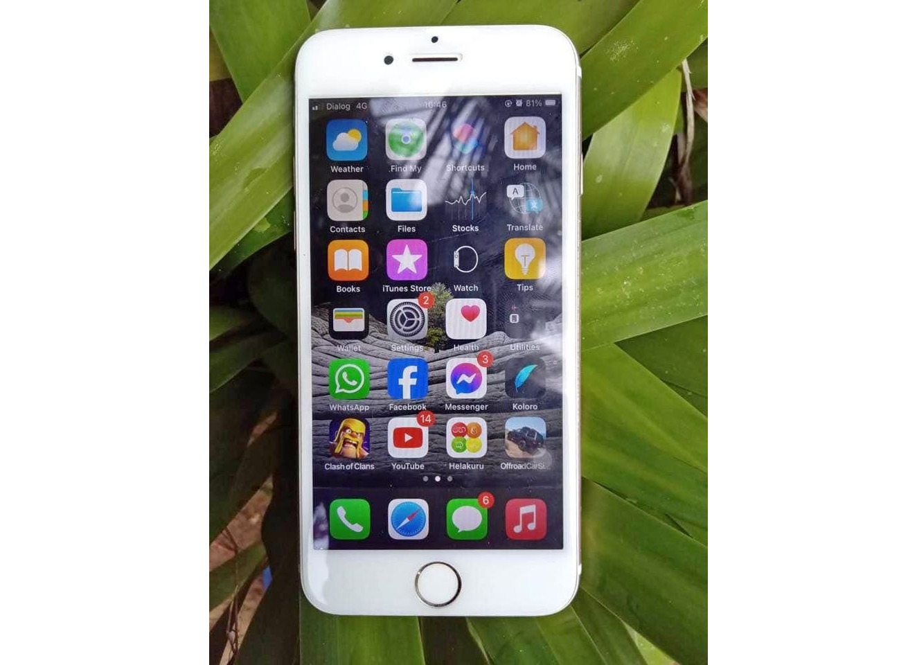 Apple 6s