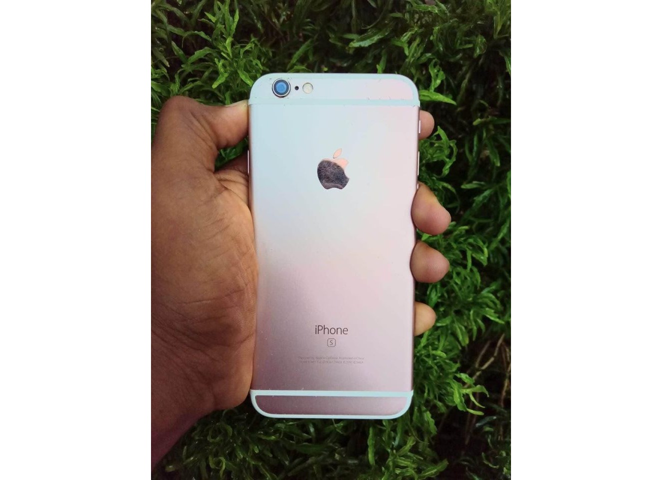 Apple 6s