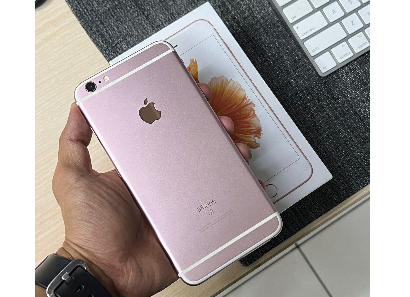 Apple iPhone 6S Plus (Used)