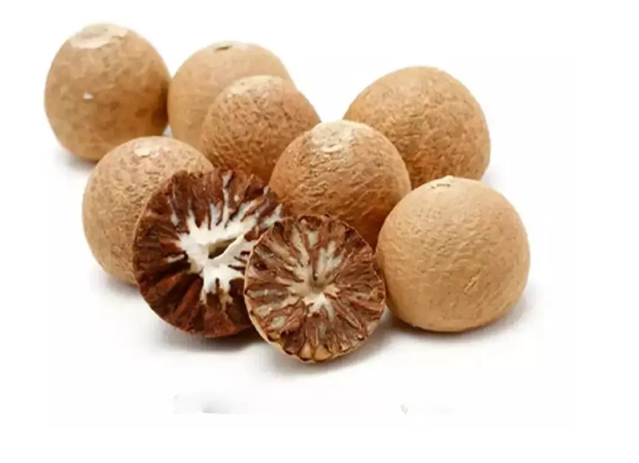 New fresh Areca nut Areca catechu Betel  dried nuts
