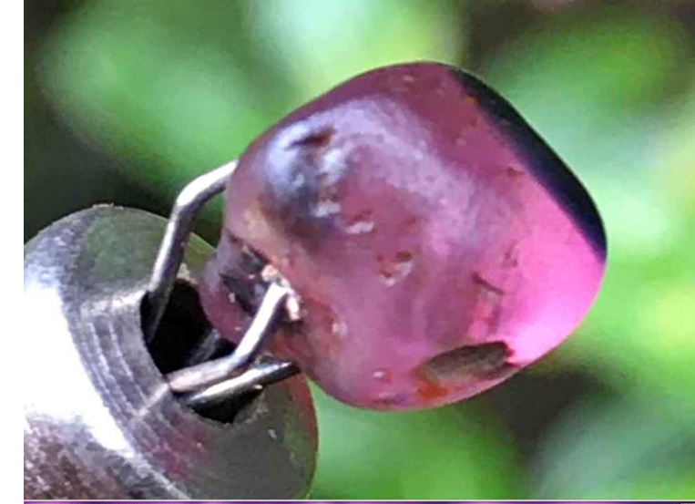 ✨ Natural Pink Sapphire Gem -