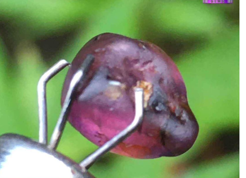 ✨ Natural Pink Sapphire Gem -