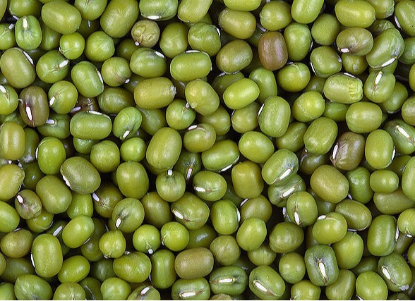 මුං ඇට
