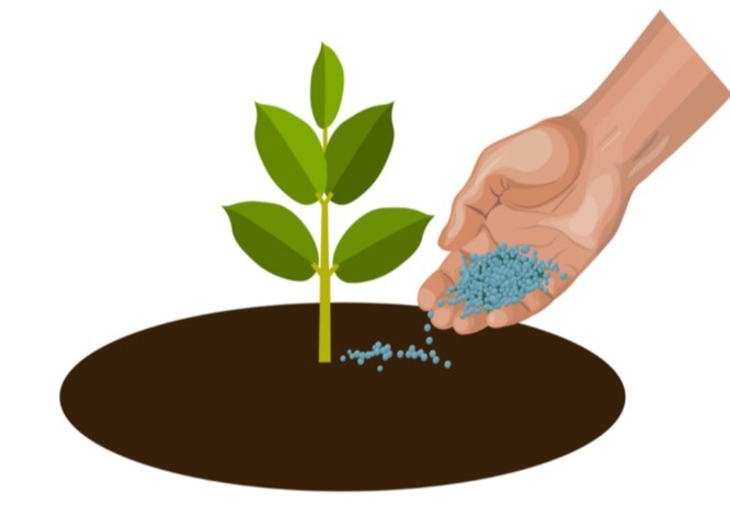 fertilizer