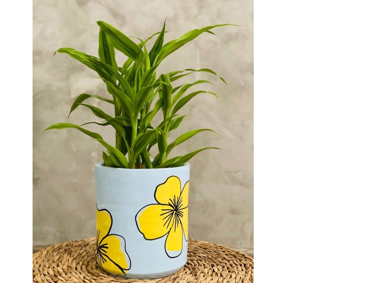 Handcrafted clay pots and indoor plants