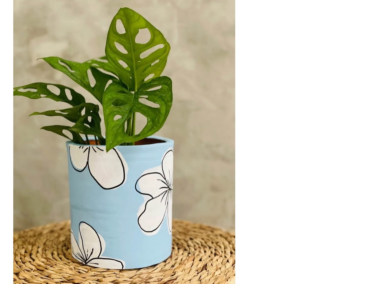 Handcrafted clay pots and indoor plants