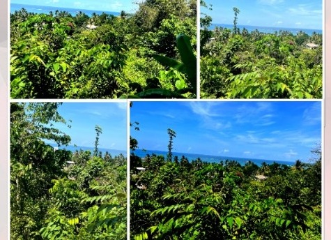 Prime Beach View Land Galle