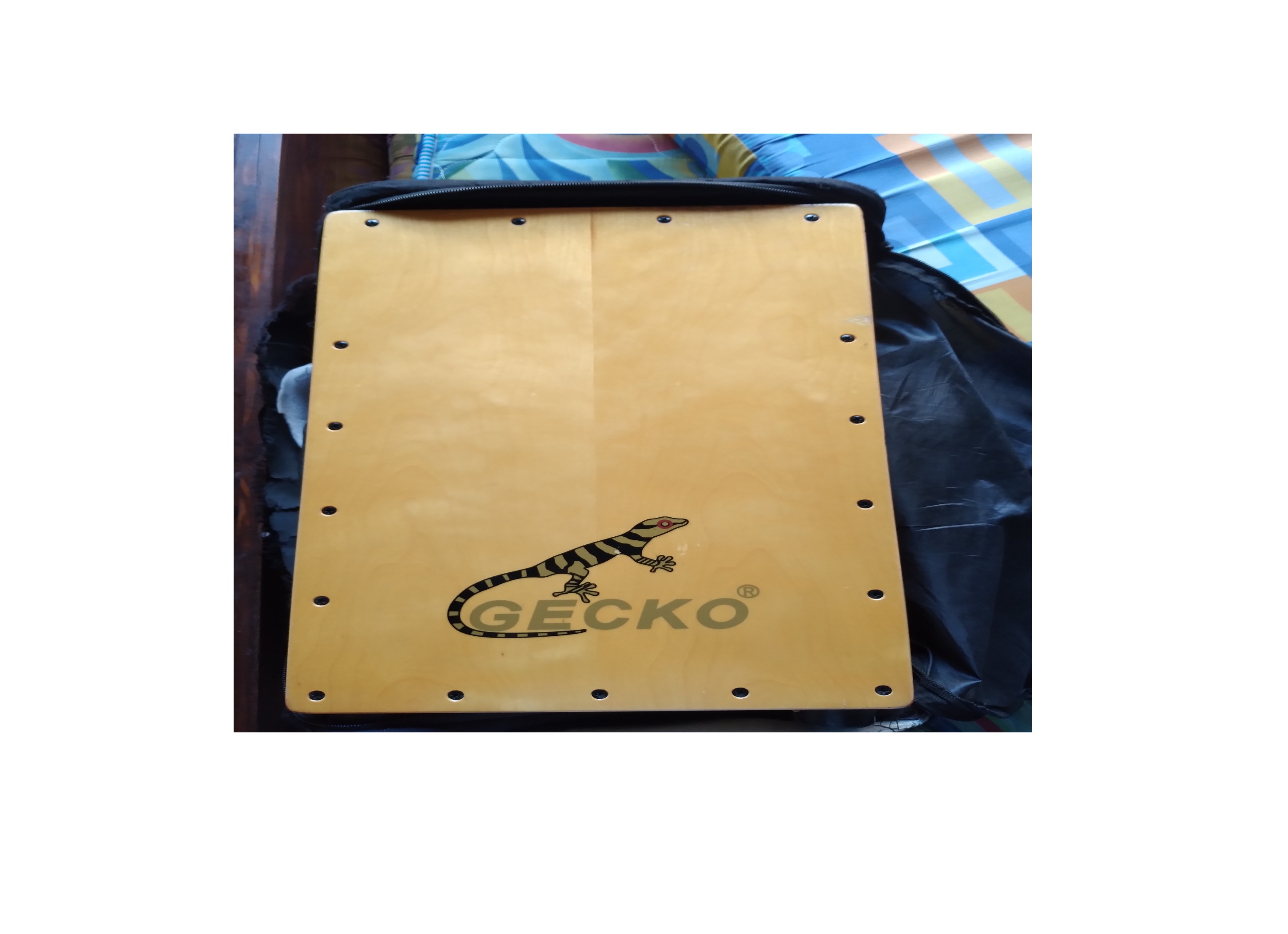 GECKO CAJON