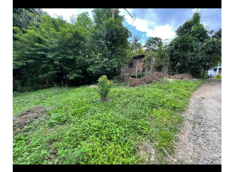 Land for sale in kandy