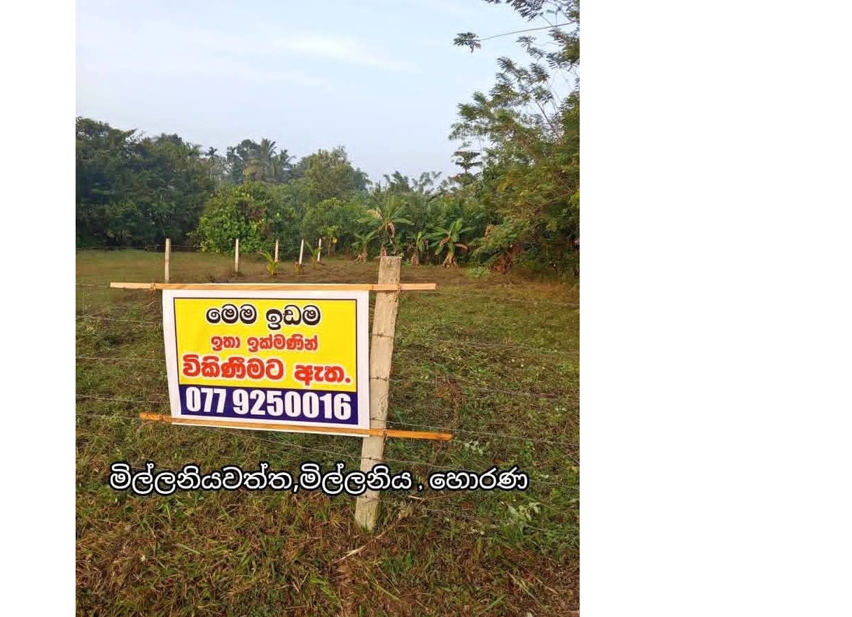 පර්චස් 15 ක අගනා ඉඩමක් විකිණීමට (ඉඩමම ලක්ෂ 27) 0779250016 මිල්ලනියවත්ත මිල්ලනිය