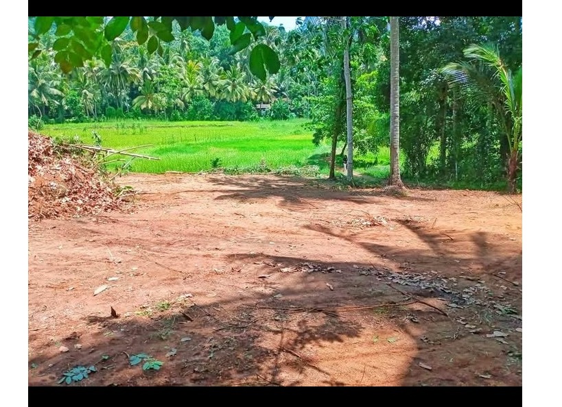 Alawwa land for sale 📍