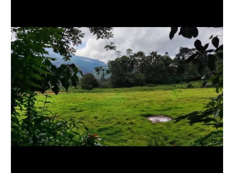 Very beautiful nature land for sale srilanka kandy