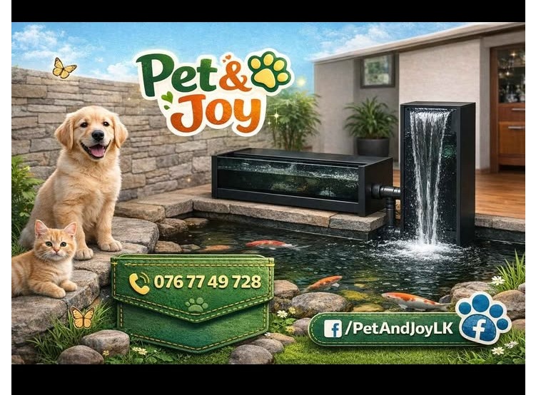 🦋 Aquarium waterfall filter 🦋