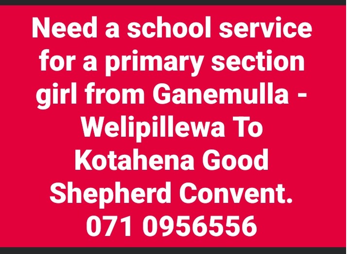 Need a school service for primary section 🚍
