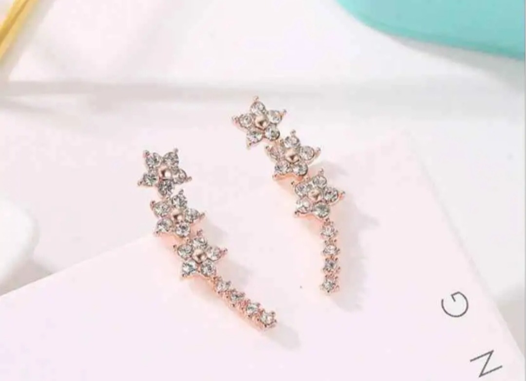 Earings