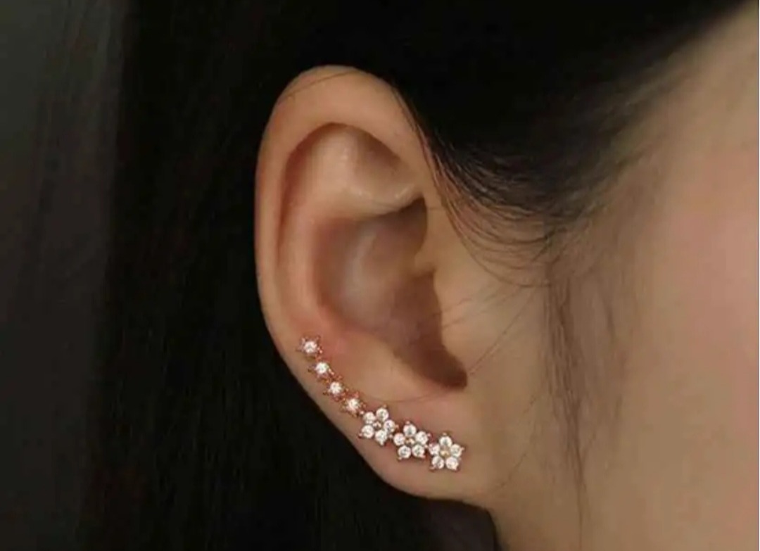 Earings