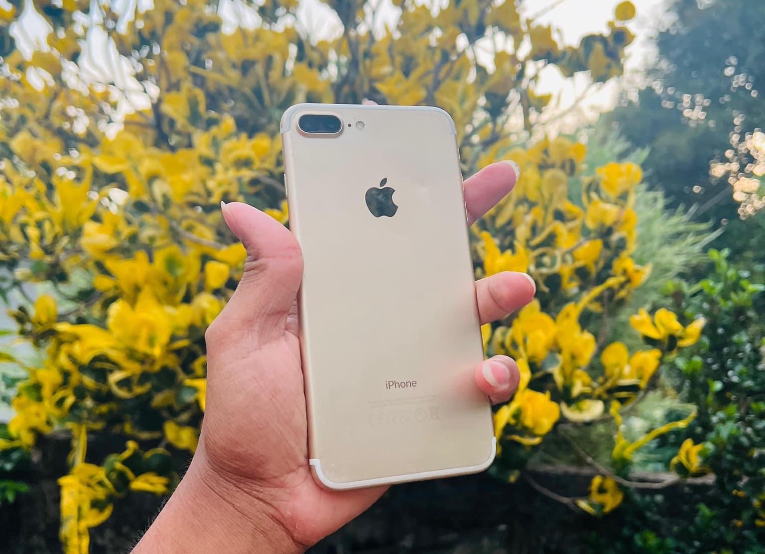 iPhone 7 plus 256GB