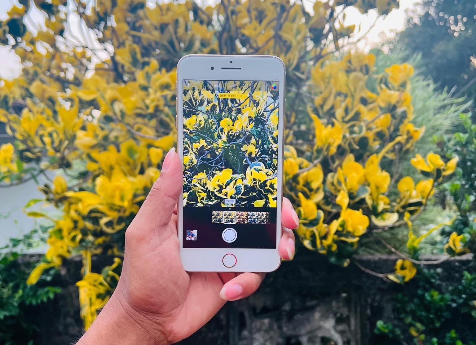 iPhone 7 plus 256GB