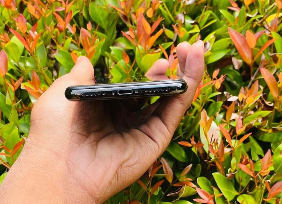 iPhone X