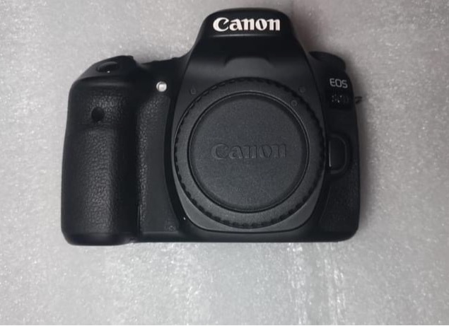 Canon 80D Camera