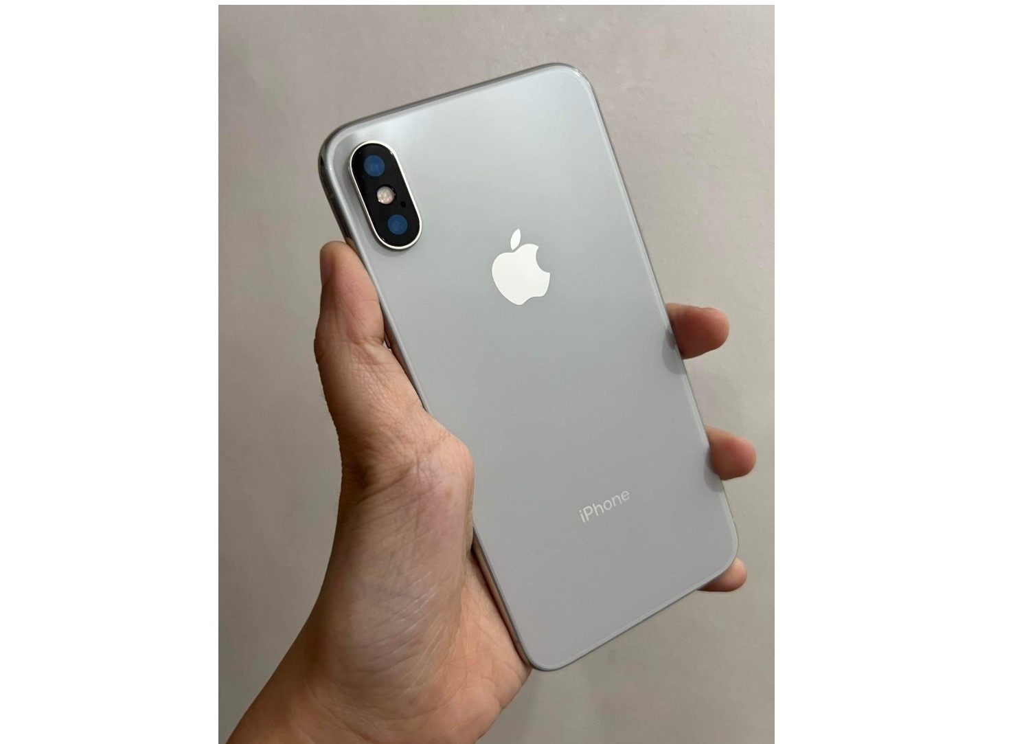 Apple iPhone X