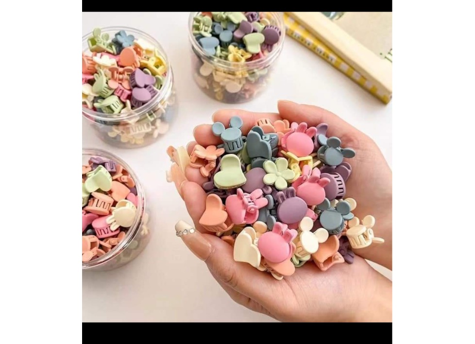 Hair clip (100 pcs box)