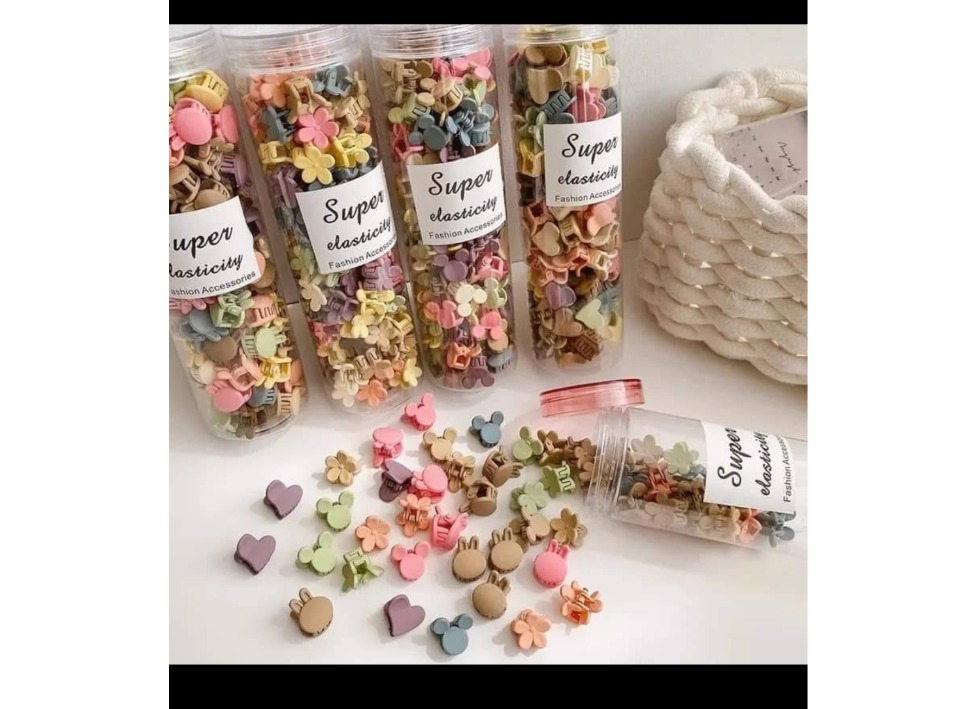 Hair clip (100 pcs box)