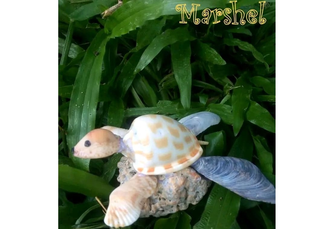 Shell animals