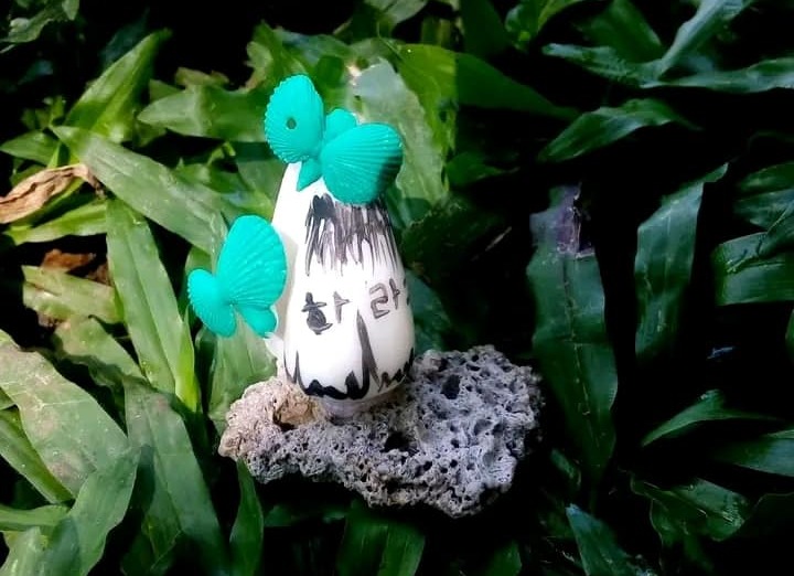 Shell animals
