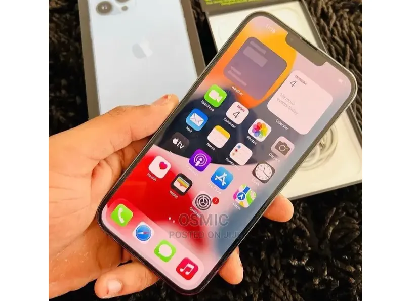 Apple iPhone 13 Pro Max (Used)