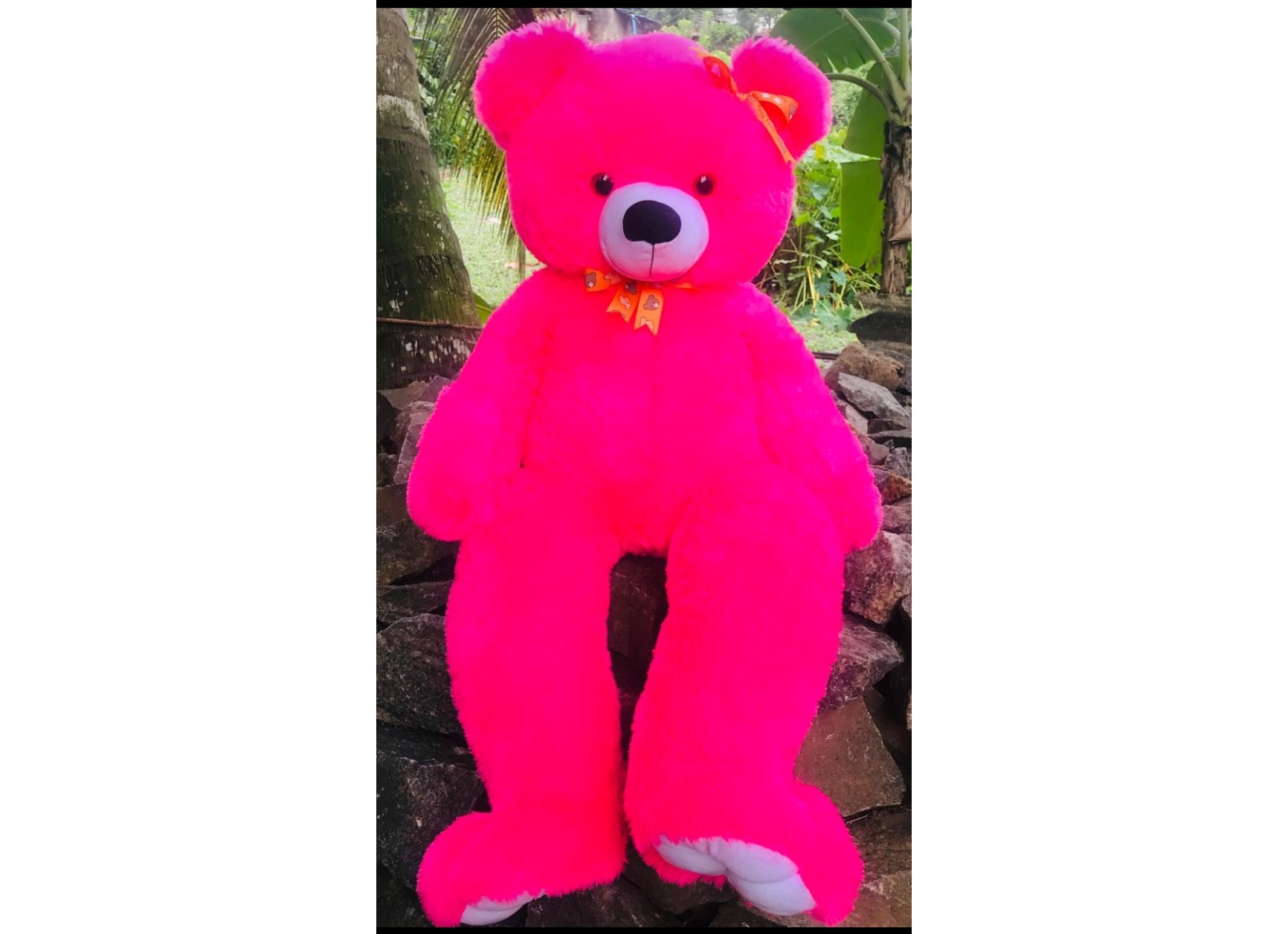 Tabby bear