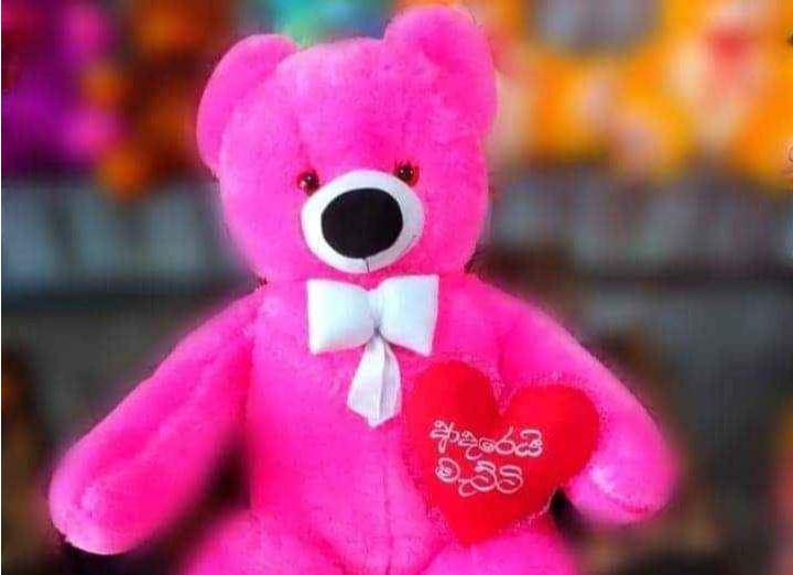 Tedy bear
