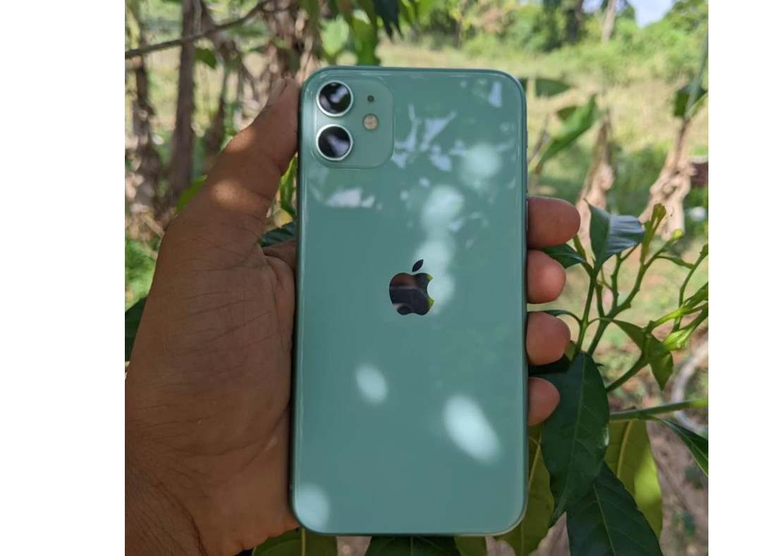 Apple 11