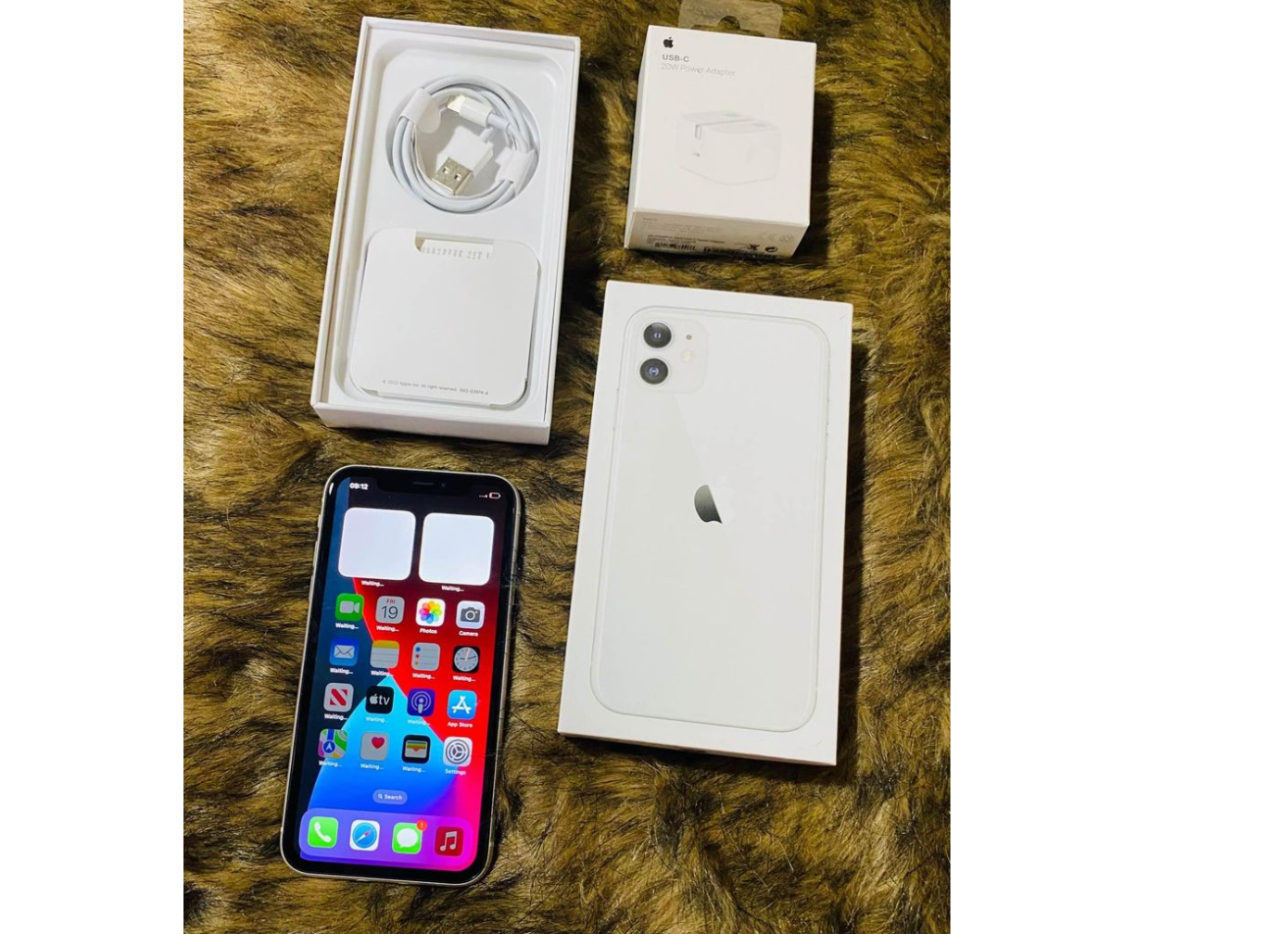 Apple 11