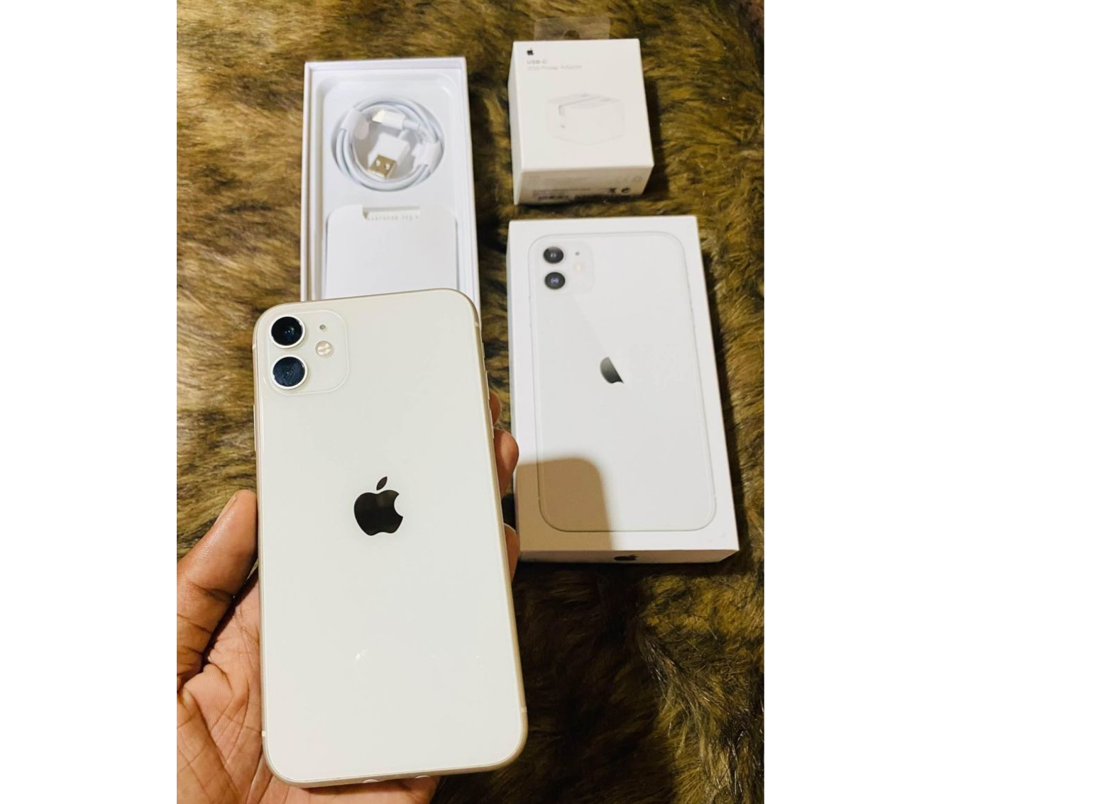 Apple 11