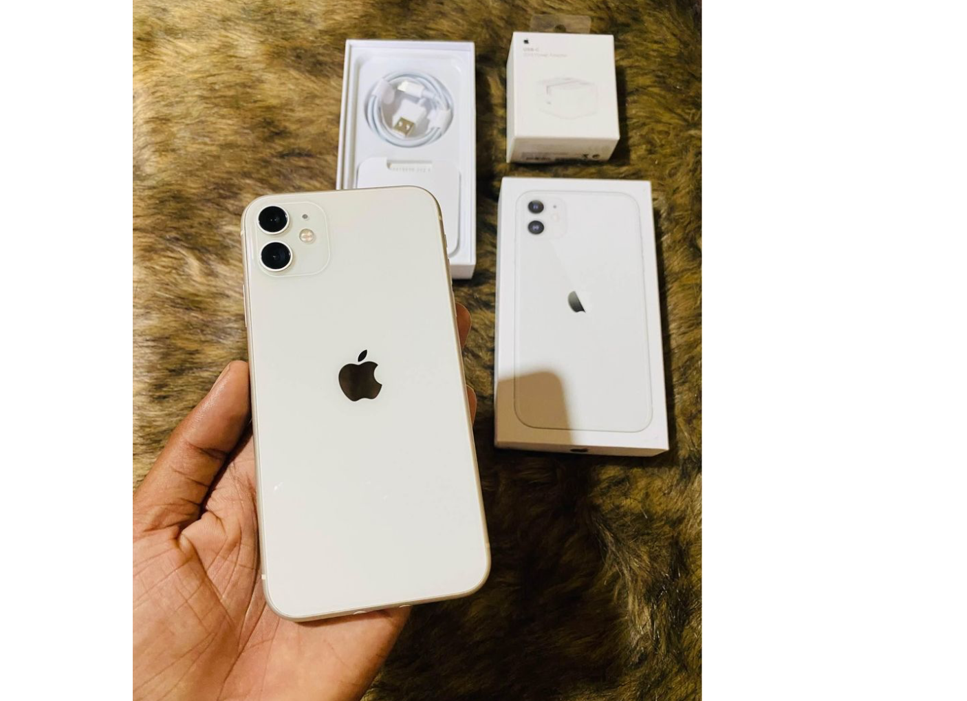 Apple 11