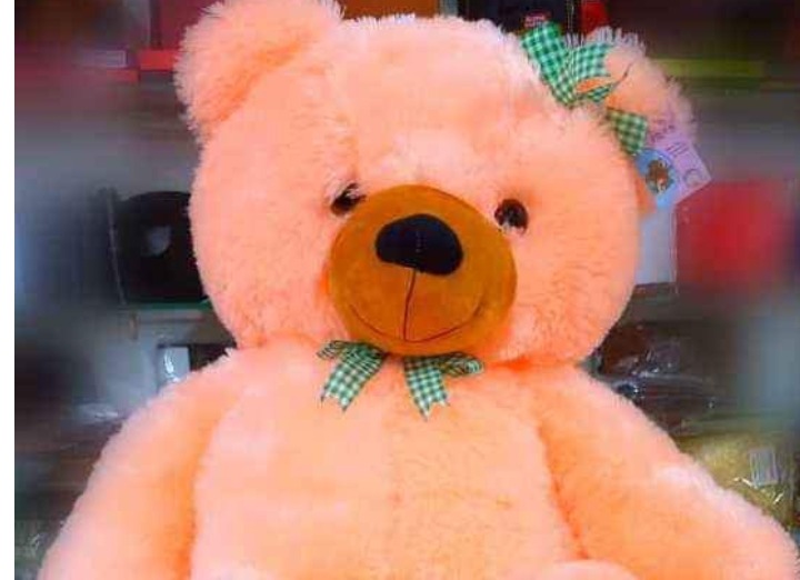Teddy bear
