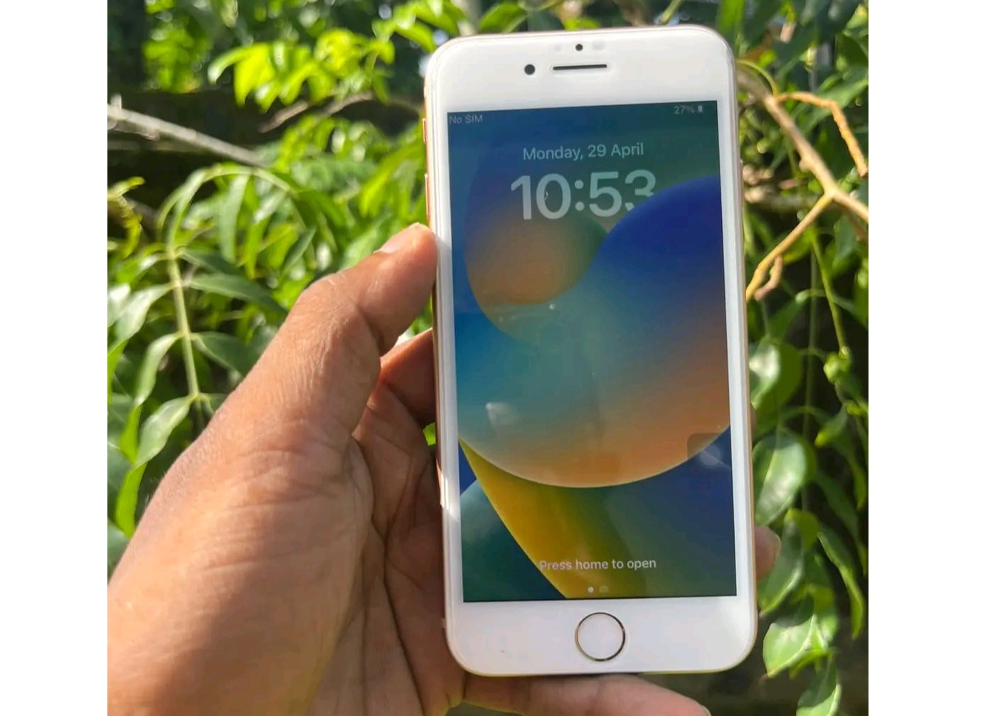 Iphone 8 (Used)