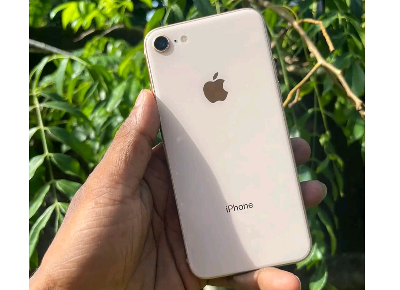 Iphone 8 (Used)