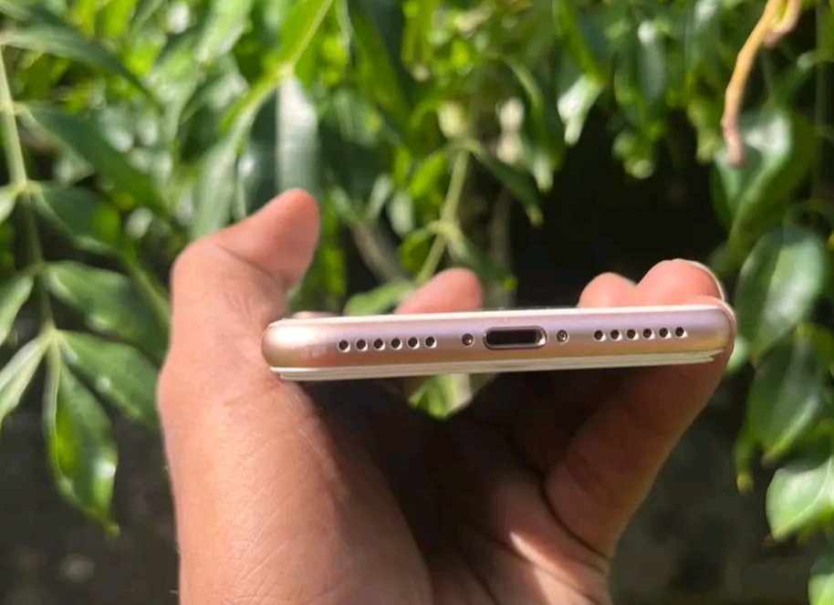 Iphone 8 (Used)