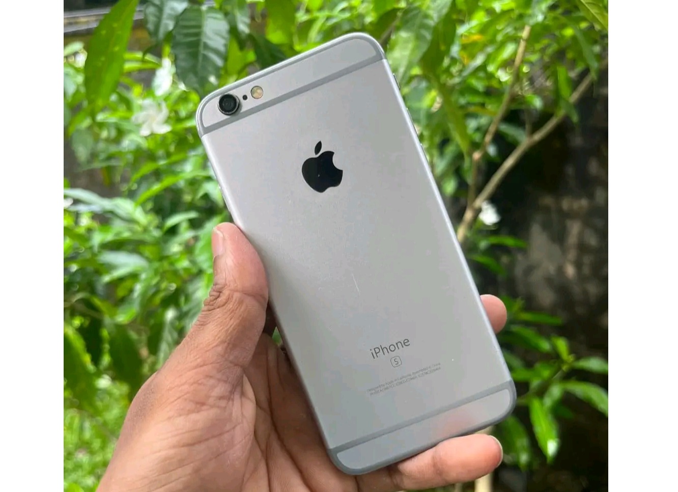 Iphone 6s (Used)