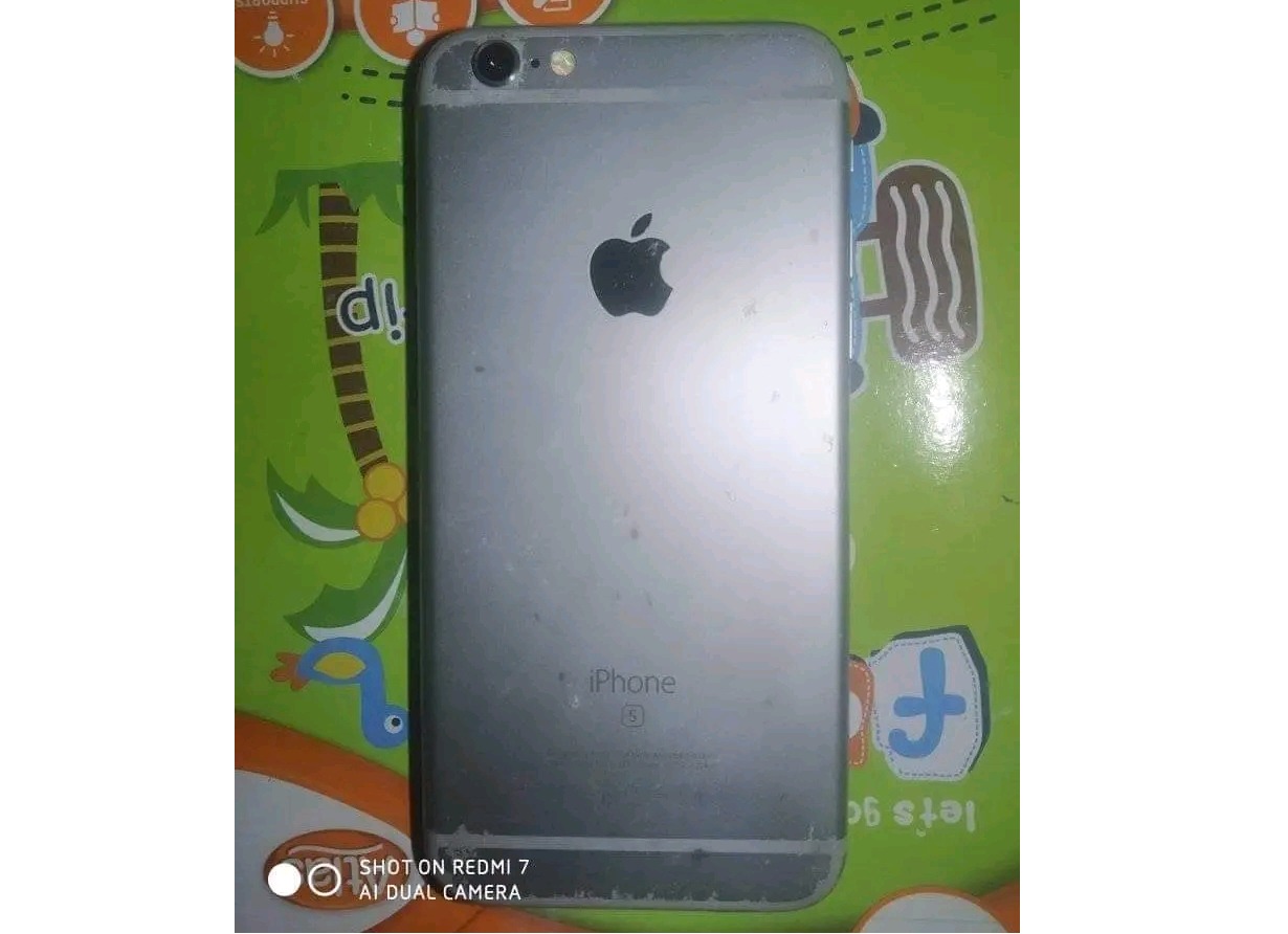 Apple 6s (Used)
