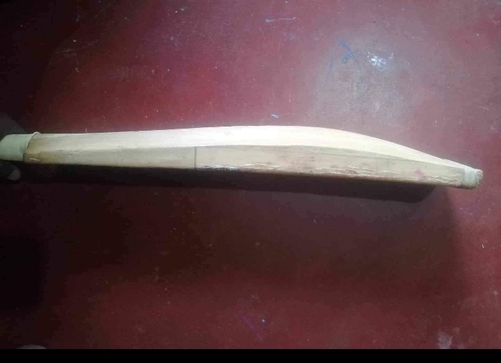 Cricket bat
